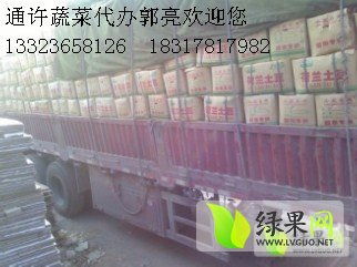 荷蘭十五克新系列土豆 貨源充足，專業(yè)代購(gòu)代銷服務(wù)